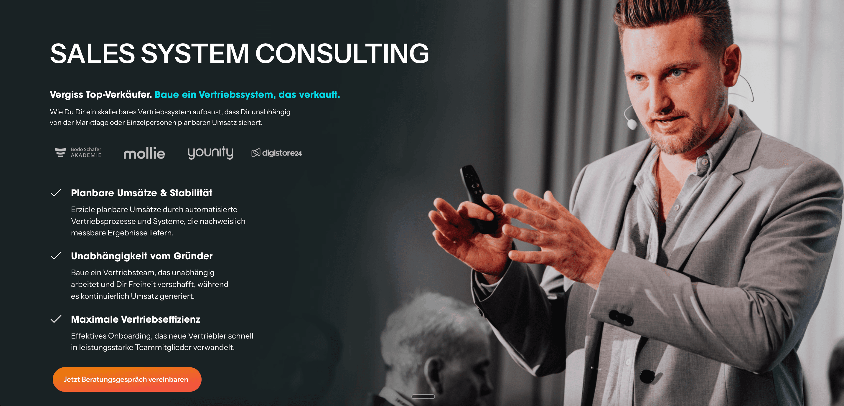 Landingpage Header — Sales System Consulting